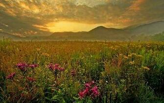 Spring Field Desktopnexus