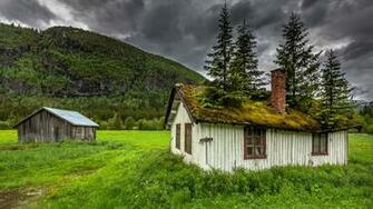 Wallpaper Hemsedal Norway House Moss Trees Grass Mountain