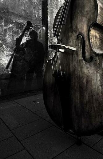 Double Bass Wallpaper