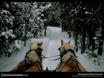 Of The Day Picture Photography Wallpaper National Geographic