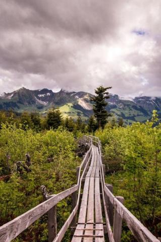 Nature Mobile Wallpaper HD Ponsel