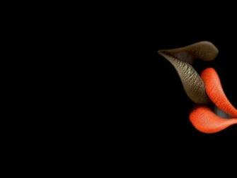 Kissing Lips Wallpaper HD Desktopinhq Net