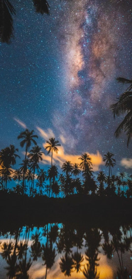 See Milky Way In Summer Night Sky Jiangchenqu To