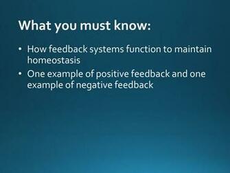 Basic Principles Of Animal Form And Function Ppt