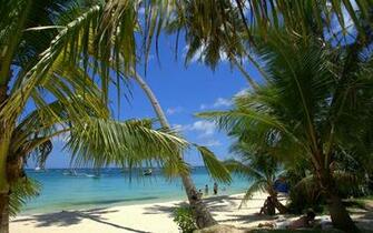 Top High Resolution Tropical Wallpaper Image For