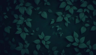 Best Dark Green Wallpaper