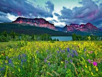 Mountain Meadow Wallpaper