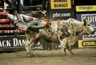 Lane Frost Bull Riding Wallpaper