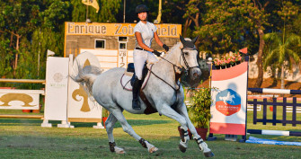 Top Equestrian Wallpaper Full HD 4k To Use