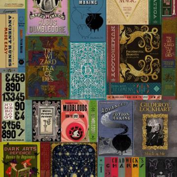 Able Hogwarts Library Phone Wallpaper Minalima