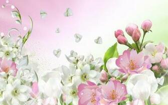HD Apple Blossom Spring Wallpaper