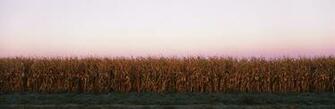 Pin Dual Monitor Windows Background Picture