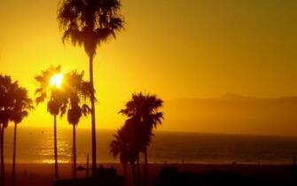 Venice Beach California Wallpaper On