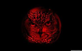 Owl Pumpkin Carving 4k HD Desktop Wallpaper For Ultra Tv