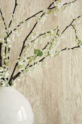 Thibaut Eastwood Wallpaper