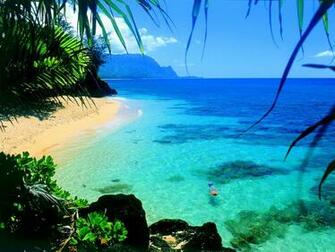 Hawaii Beaches Wallpaper Which Is Under The Beach