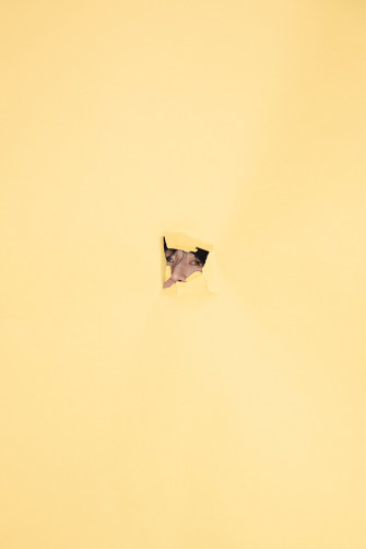 Bambam On X For Everyone Phone Wallpaper Area52 S T Co