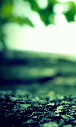Wallpaper Blackberry Z10 Black Forrest