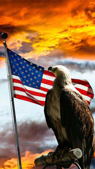 Usa iPhone Wallpaper