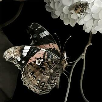 Saturated Sample Floral Wallpaper Samples By Ellie Cashman Design