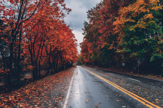 A Beautiful 4k Image Of Calming Fall Field With Vibrant Wallpaper