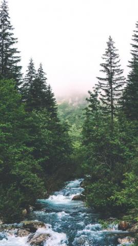 Stilvolle Hintergrundbilder F R Ihr iPhone Xs Max Today Pin