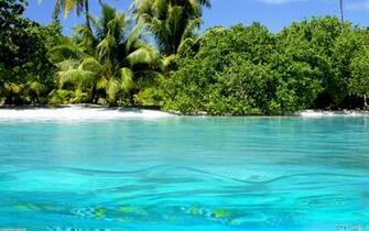 Exotic Beach Wallpaper Open Walls