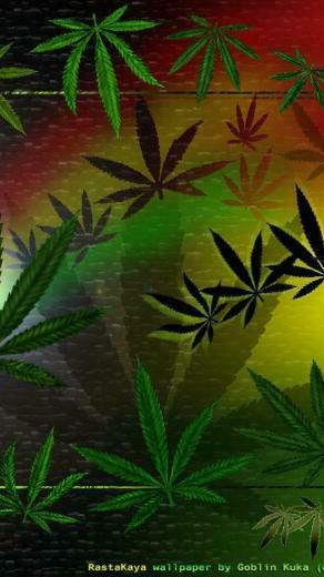 Weed Screensavers And Ecards HD Wallpaper