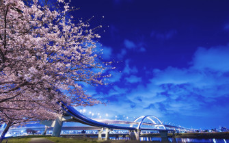 Japan Wallpaper
