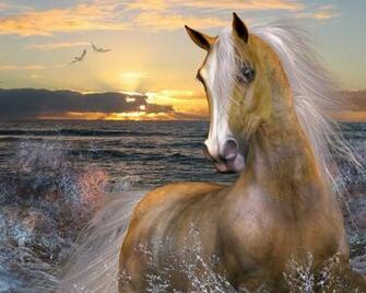 Wallpaper Horse Computer Screensavers And