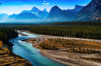 Forest Landscape Mountain Nature River Scenic 4k 1440p Wallpaper
