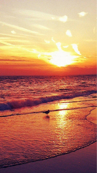 Beach iPhone Wallpaper