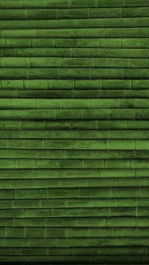 Green Bamboo Wood Texture iPhone Plus HD Wallpaper Ipod