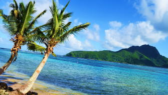 Cool Nature Background Image Wallpaper