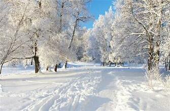 Super Best Beautiful Of Winter Season HD Photos Famous