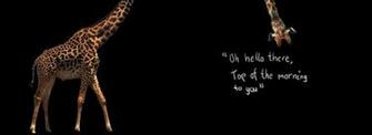 Funny Screen Wallpaper
