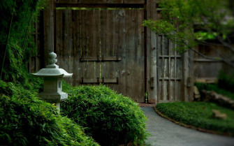 Tea Garden Wallpaper