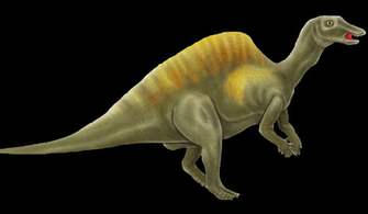 Dinosaur Pictures Printables Dinosaurs Cliparts