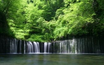 Nature Rain Forest Desktop Wallpaper Nr By Striker