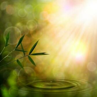 Abstract Oriental Background With Bamboo Foliage Unity Yoga