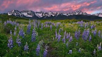 Mountains Nature Meadows Colorado Rocky Wallpaper