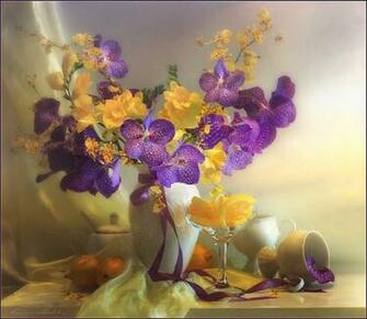 Beautiful Orchids Wallpaper