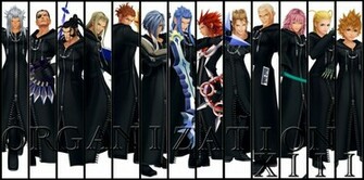 Organization Xiii Info Xaldin