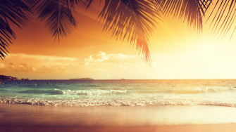 4k Tropical Wallpaper iPad