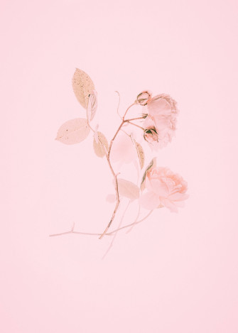 Light Pink Aesthetic Wallpaper