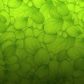 Mrforscreen Green Leaves Texture iPad Wallpaper