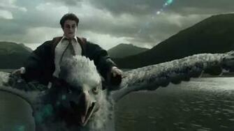 While Harry Potter Is Not A Perfect Representation Of The Mythical
