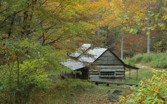 Homestead Cabin Wallpaper Stock Photos