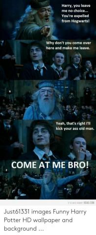Harry You Leave Me No Choice Re Expelled From Hogwarts Why
