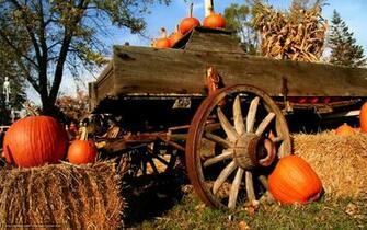 Seivo Image Fall Screensavers Pumpkins Web